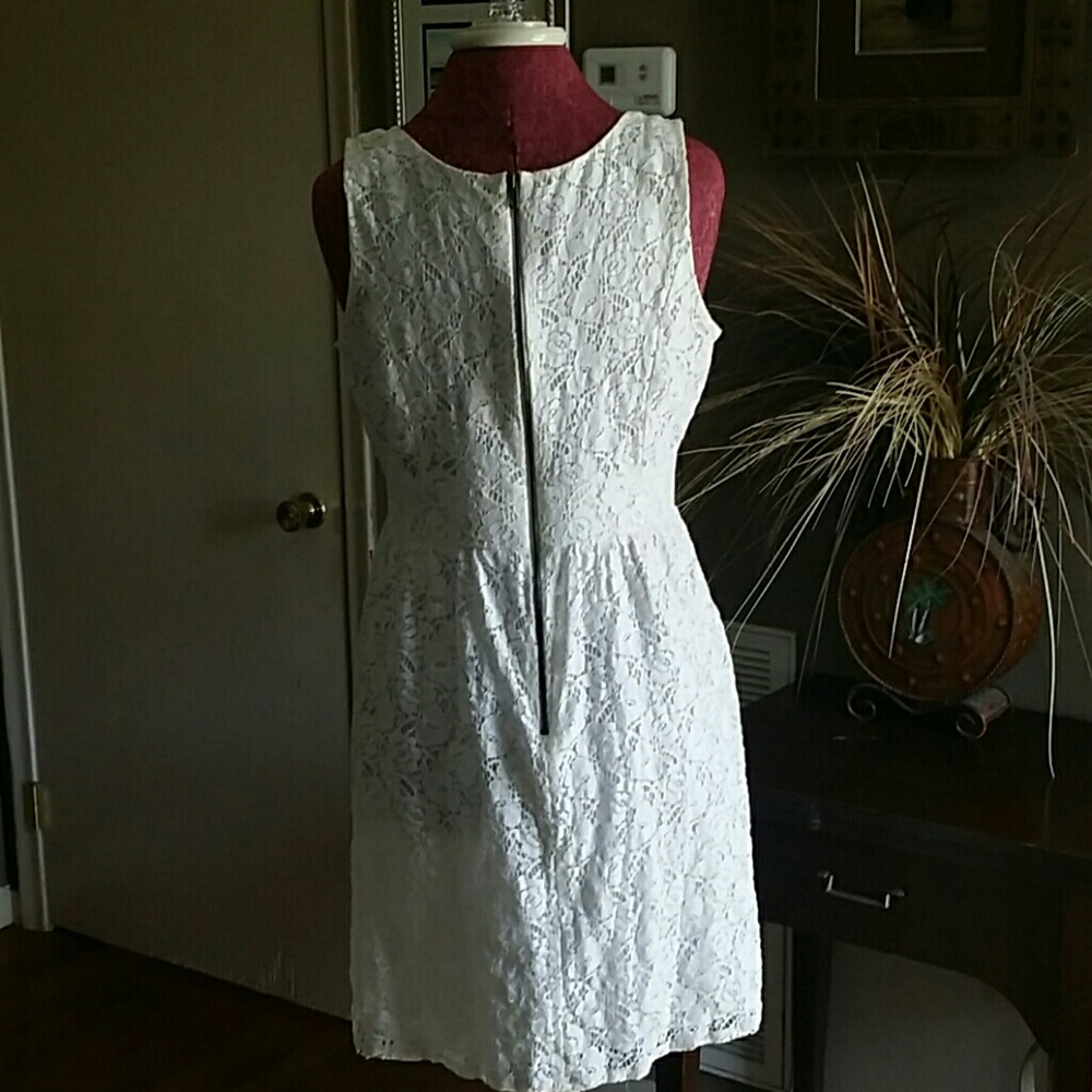Loft lace dress - Picture 4 of 6